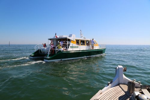 Le Catamaran Le Salako sur le Bassin d'Arcachon